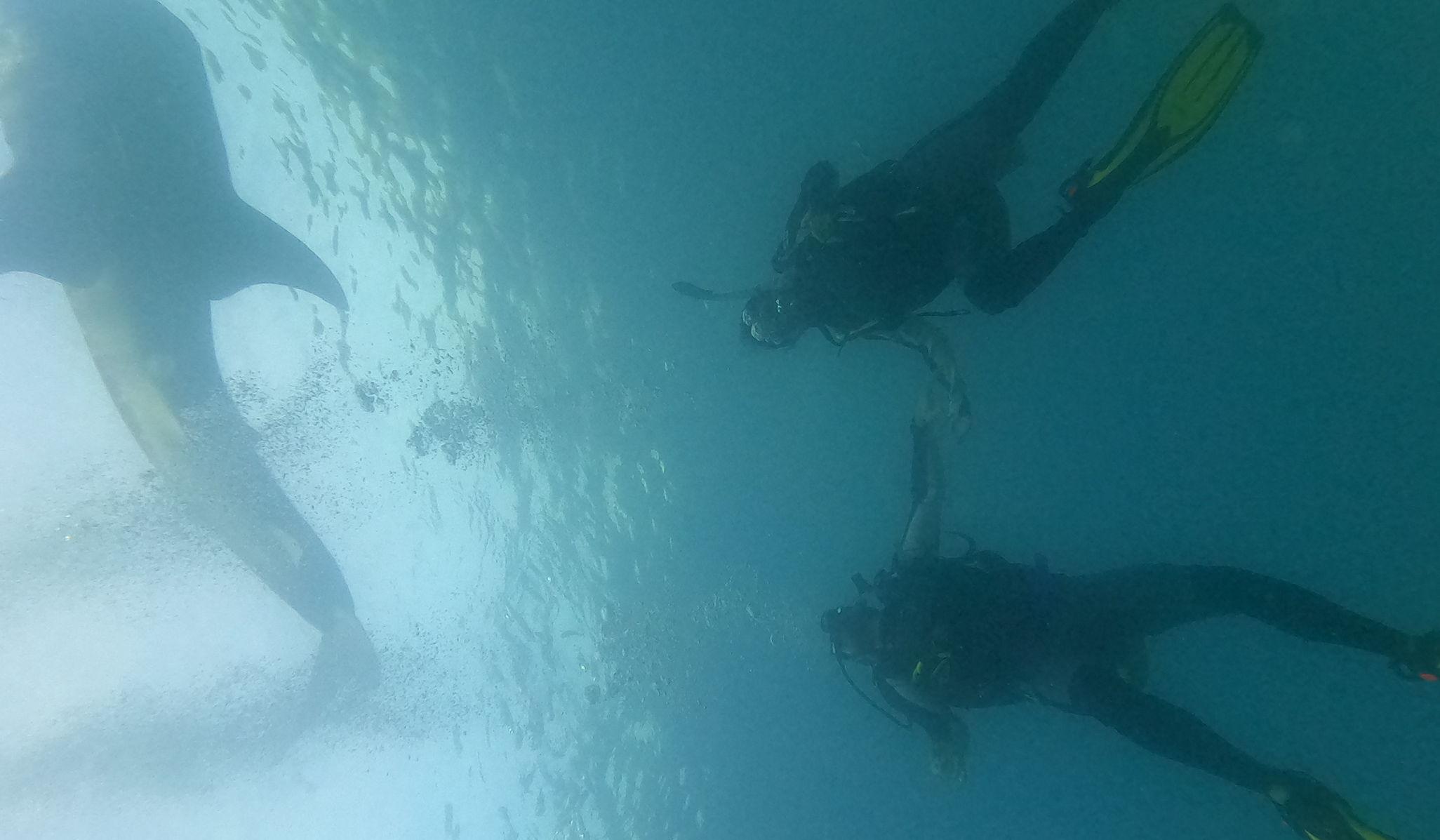 Hero Slideshow Image 4