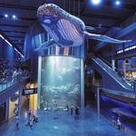 Wonders Of Wildlife National Museum & Aquarium