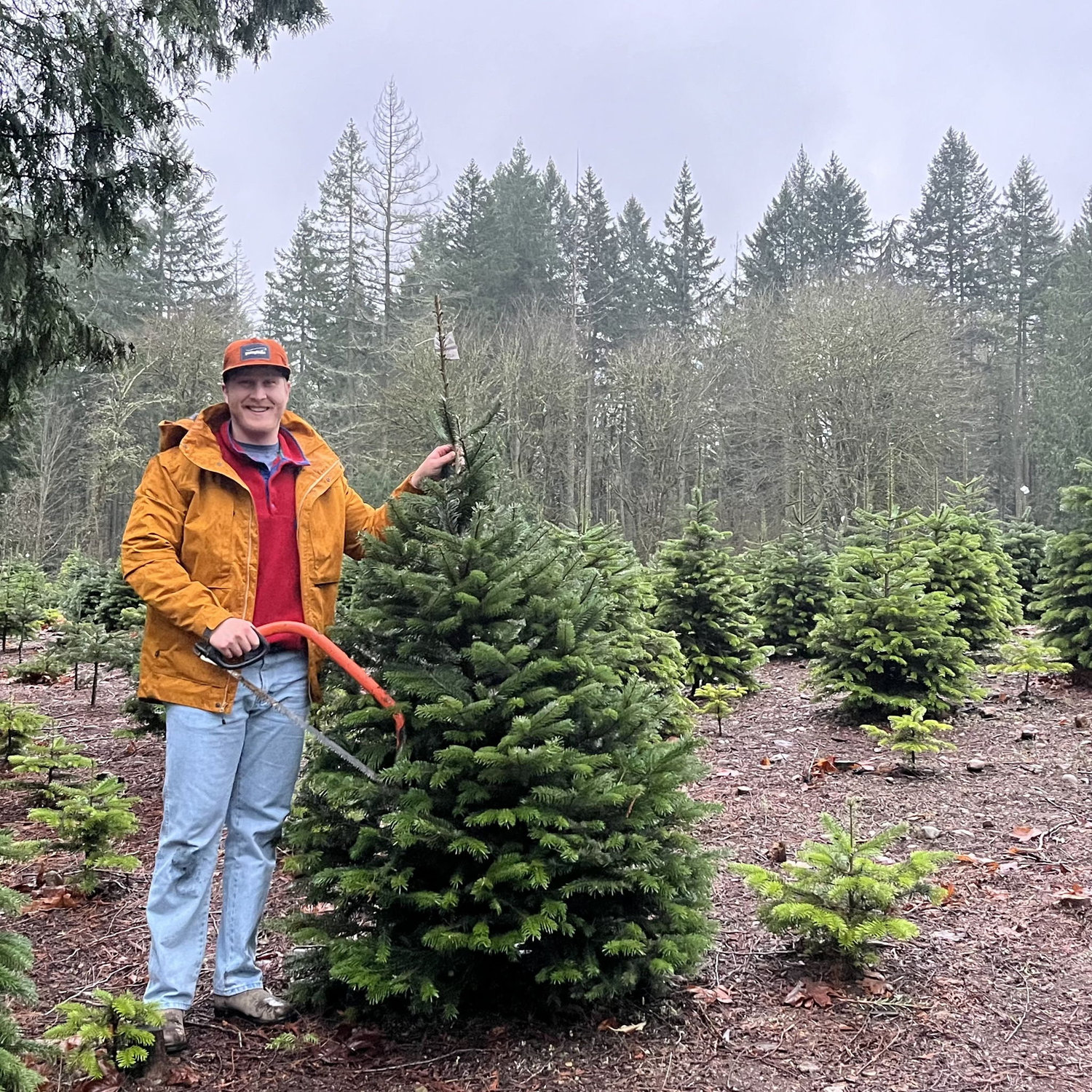 Travis cutting down our second Christmas tree! (it rained on us the whole time)