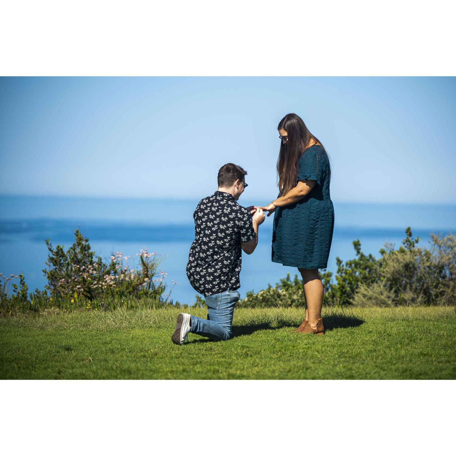 The proposal