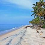 Marari beach