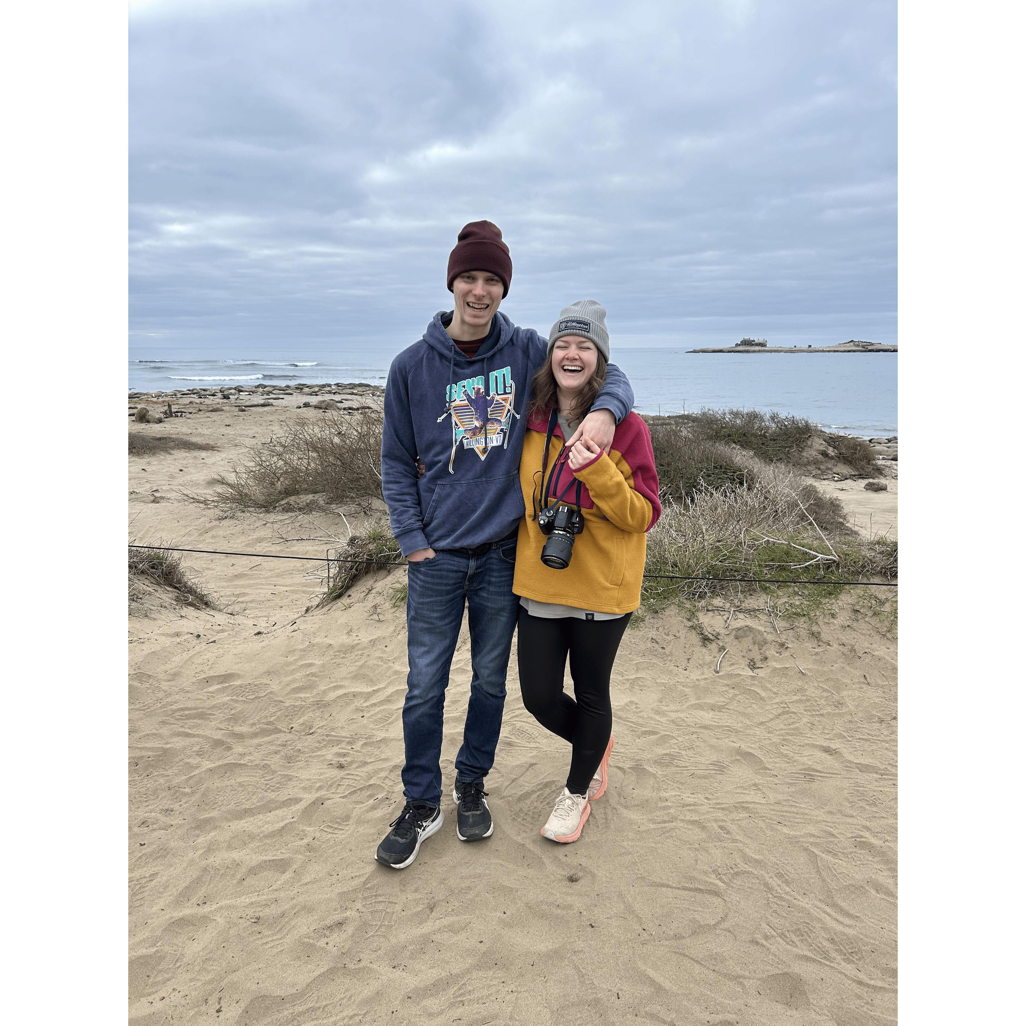 Seeing elephant seals at Ano Nuevo State Park