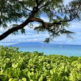 A LITTLE FURTHER BUT WORTH THE DRIVE (PAIA / KIHEI)