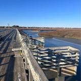 Pitt Street Bridge
