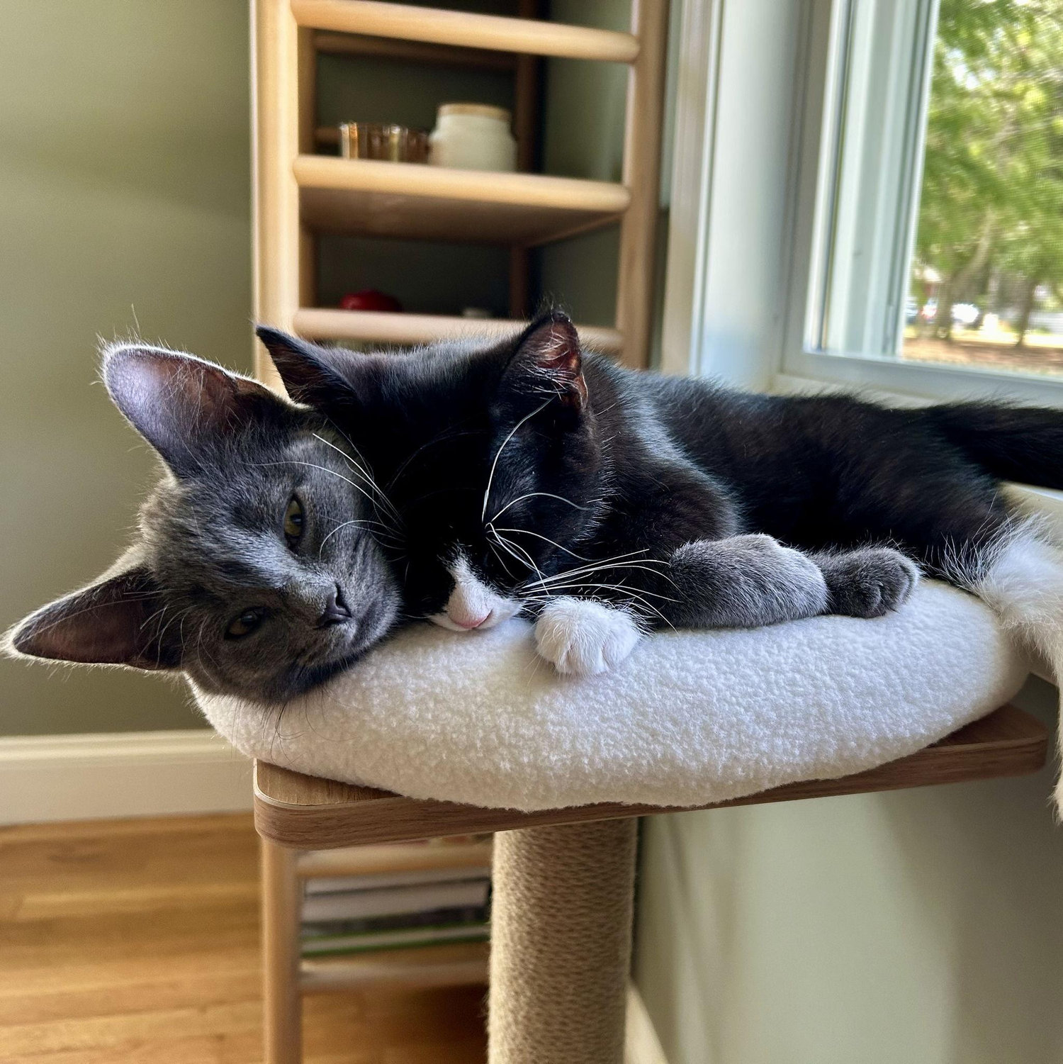 Piper & Phoebe