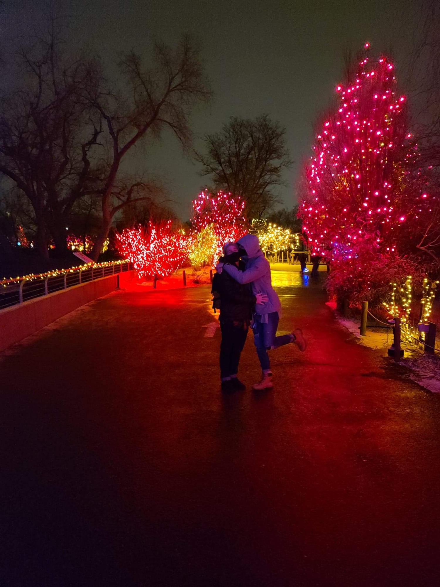 Zoo lights in Denver