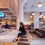 NOLO's Kitchen & Bar