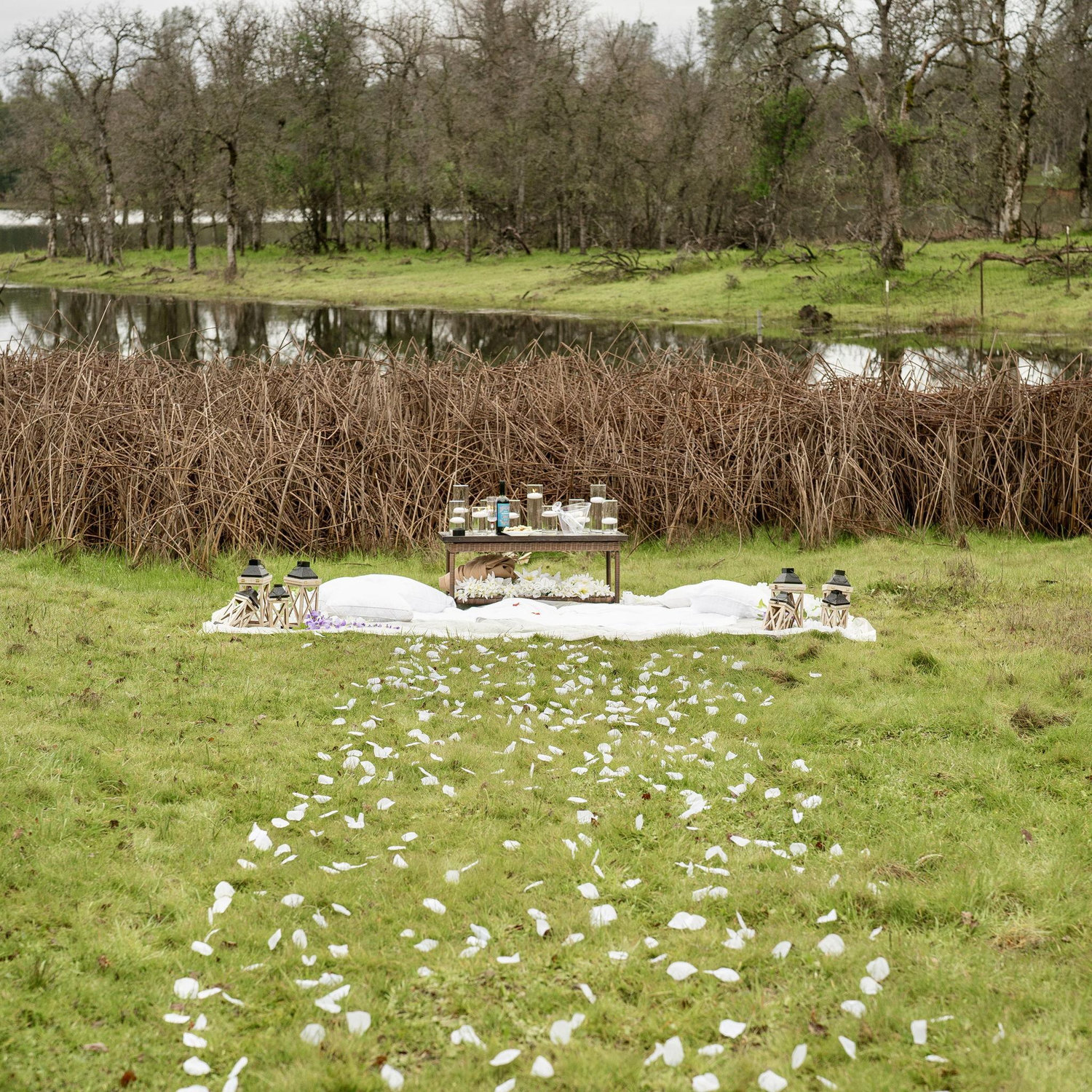 The most beautiful proposal set up.