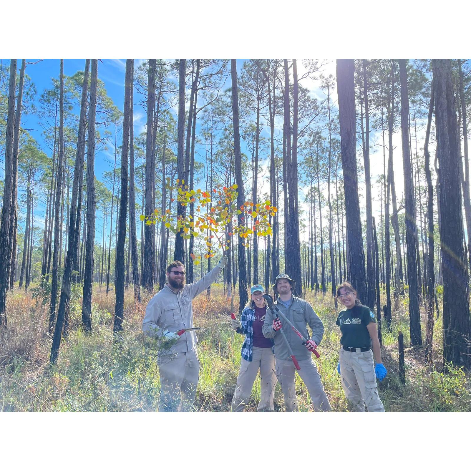 Strike team near Pensacola, Florida (November 2021)