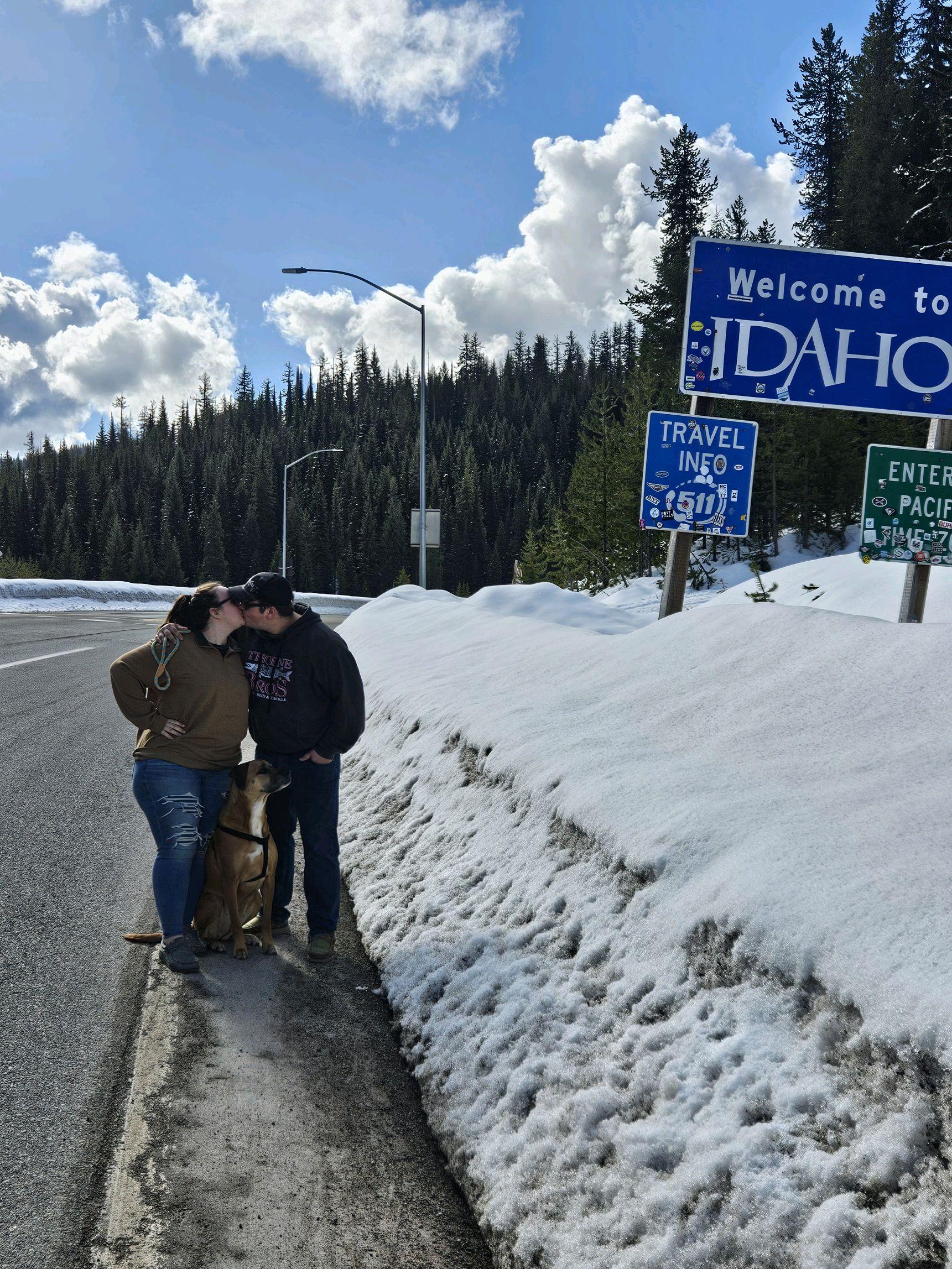 a15bfa61-703e-4848-994c-fc2cef0dd54c