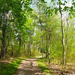 Maudslay State Park