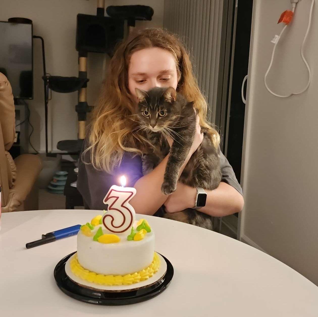 Celebrating Bean's 3rd birthday! (October 2023)