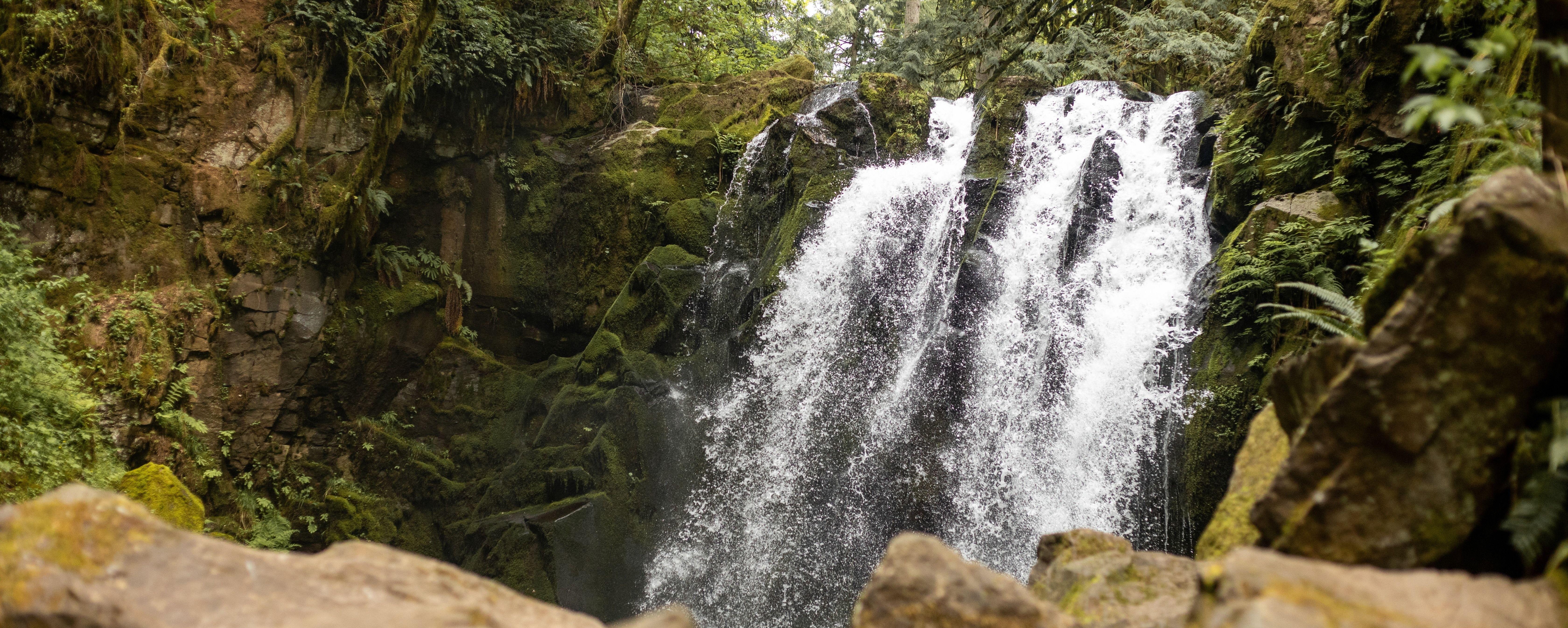 The Wedding Website of Julia Zeigler and Isaac Wegner