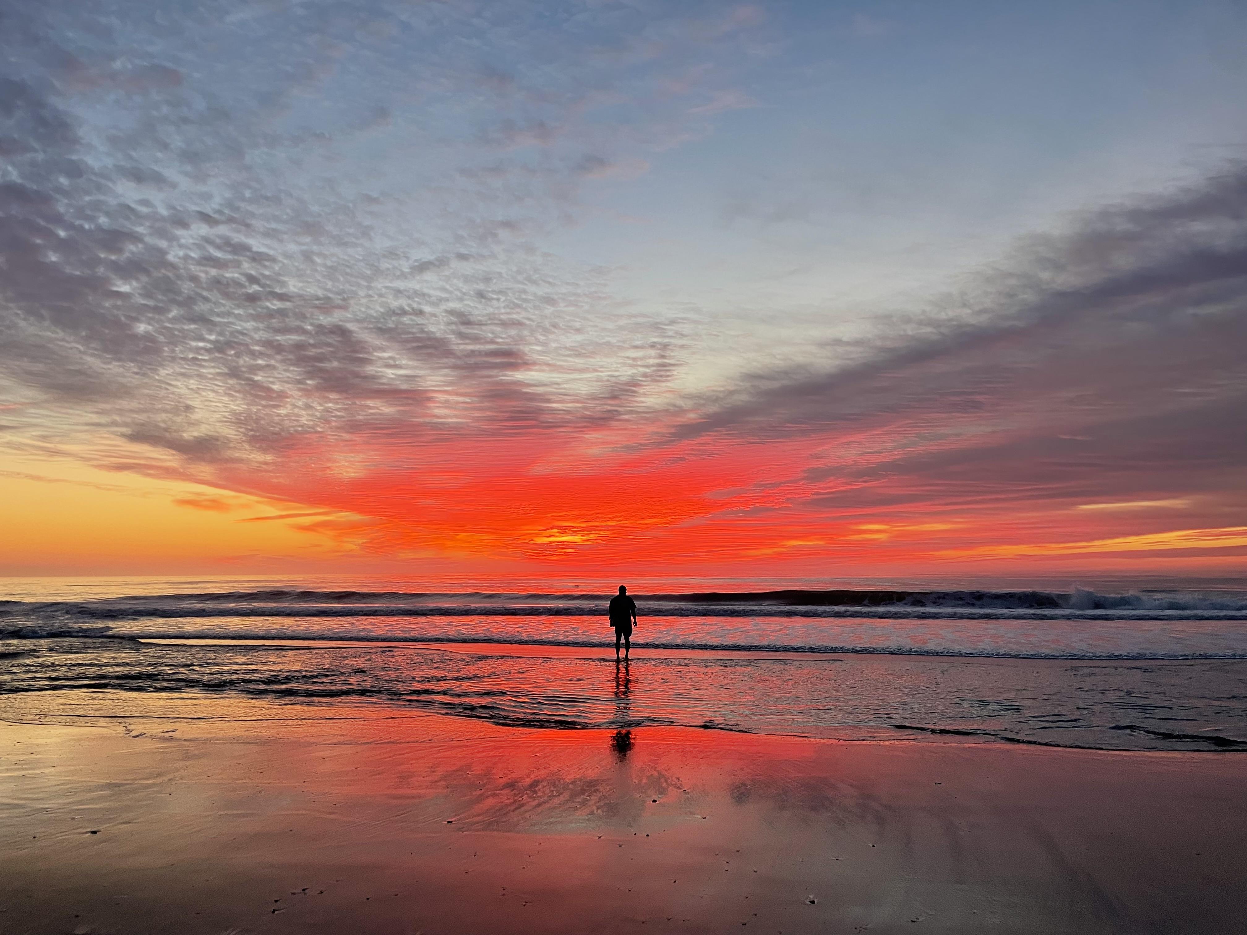 The Wedding Website of Taylor Aljian and Mason Resende