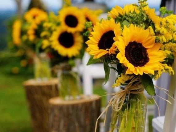 The Wedding Website of Laura Rios and Christian Suarez