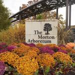 Morton Arboretum