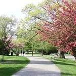 Blackstone Boulevard Park