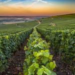 Wineries