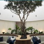 milk + honey | Arboretum Market