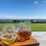 Steuben Brewing Company