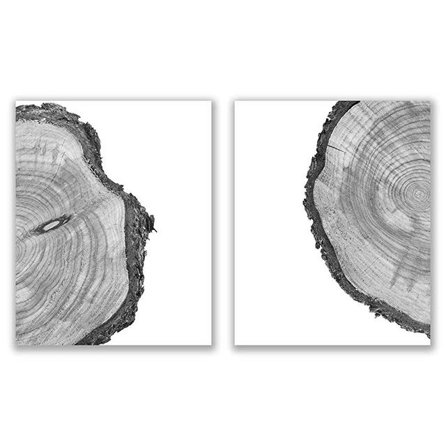 Tree Rings Prints - Set of 2 (8x10) Glossy Black and White Modern Nature Forest Scandinavain Farmhouse Minimalist Wall Art Photography Decor