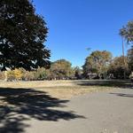 McCarren Park Greenmarket