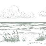 Beaches