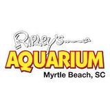Ripley's Aquarium of Myrtle Beach
