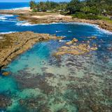 Sharks Cove Snorkeling