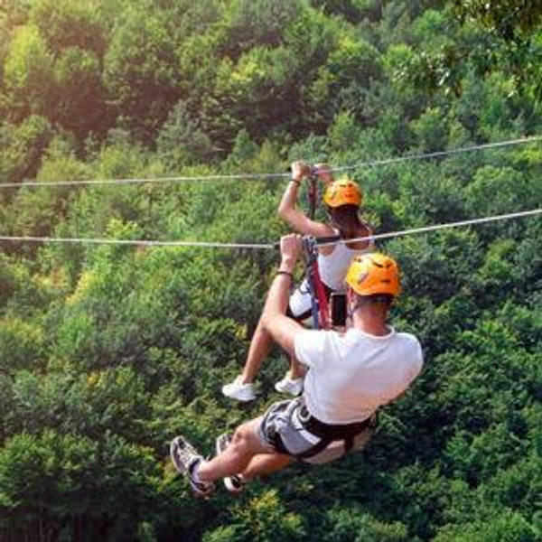 Ziplining Through The Redwoods