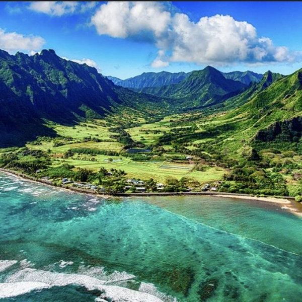 Hawaiian Honeymoon and future savings!