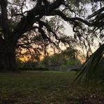 City Park