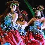 Hawaii Alive Luau Show