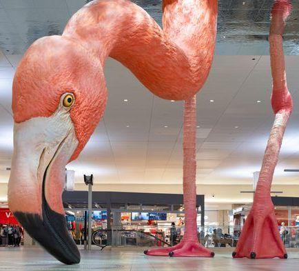 The Wedding Website of Daniel Berman and Stephanie Choate