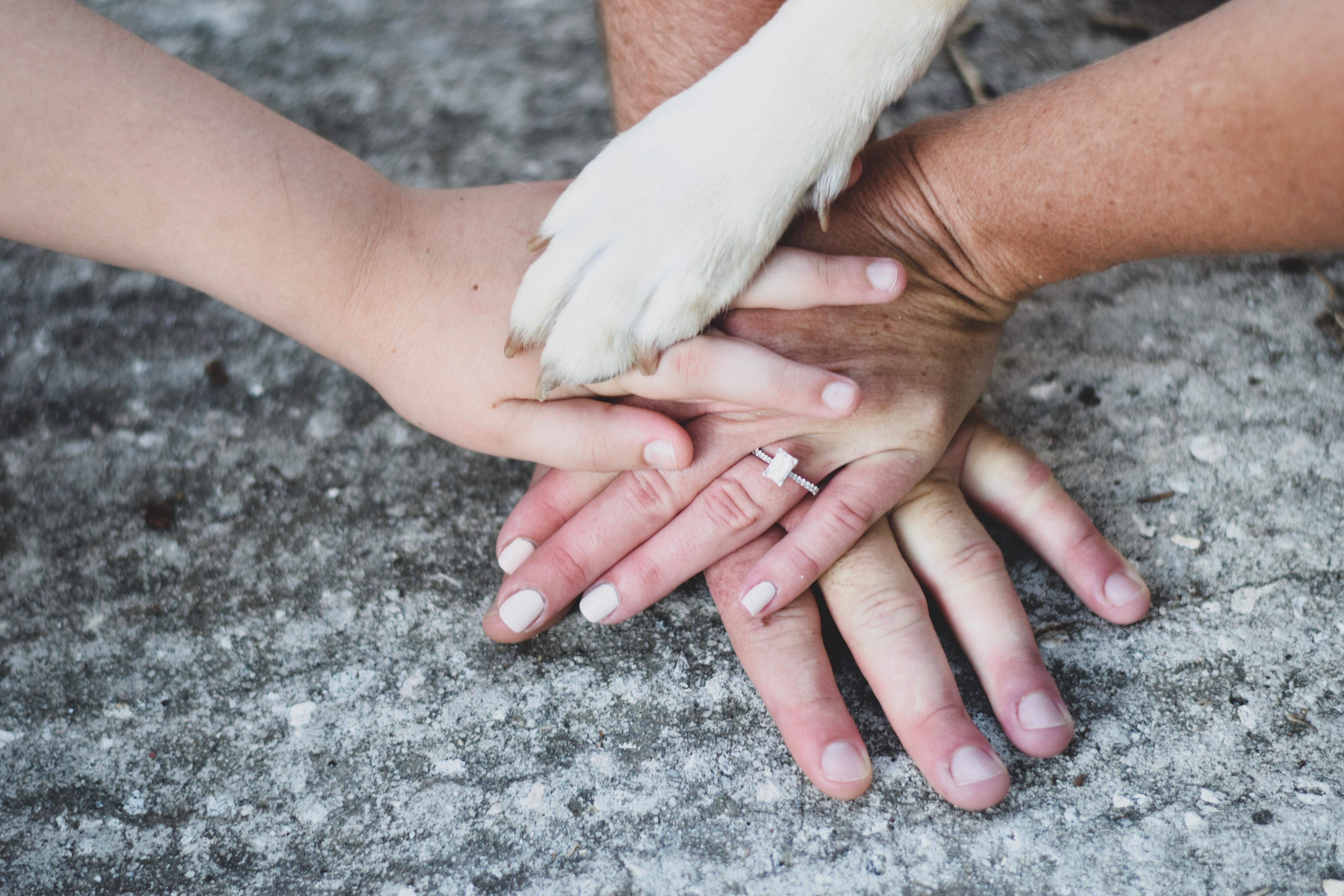 The Wedding Website of Lindsay Cornwell and Ryan Canady