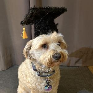 Astro's College Fund