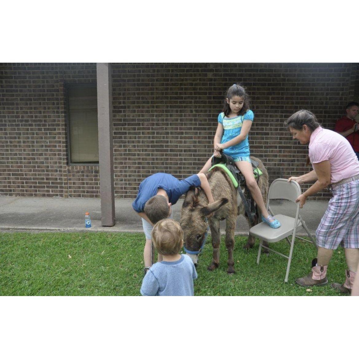 Our first photo together. Will is tending to the donkey and little Tyler is photobombing.