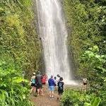 Mānoa Falls Hike