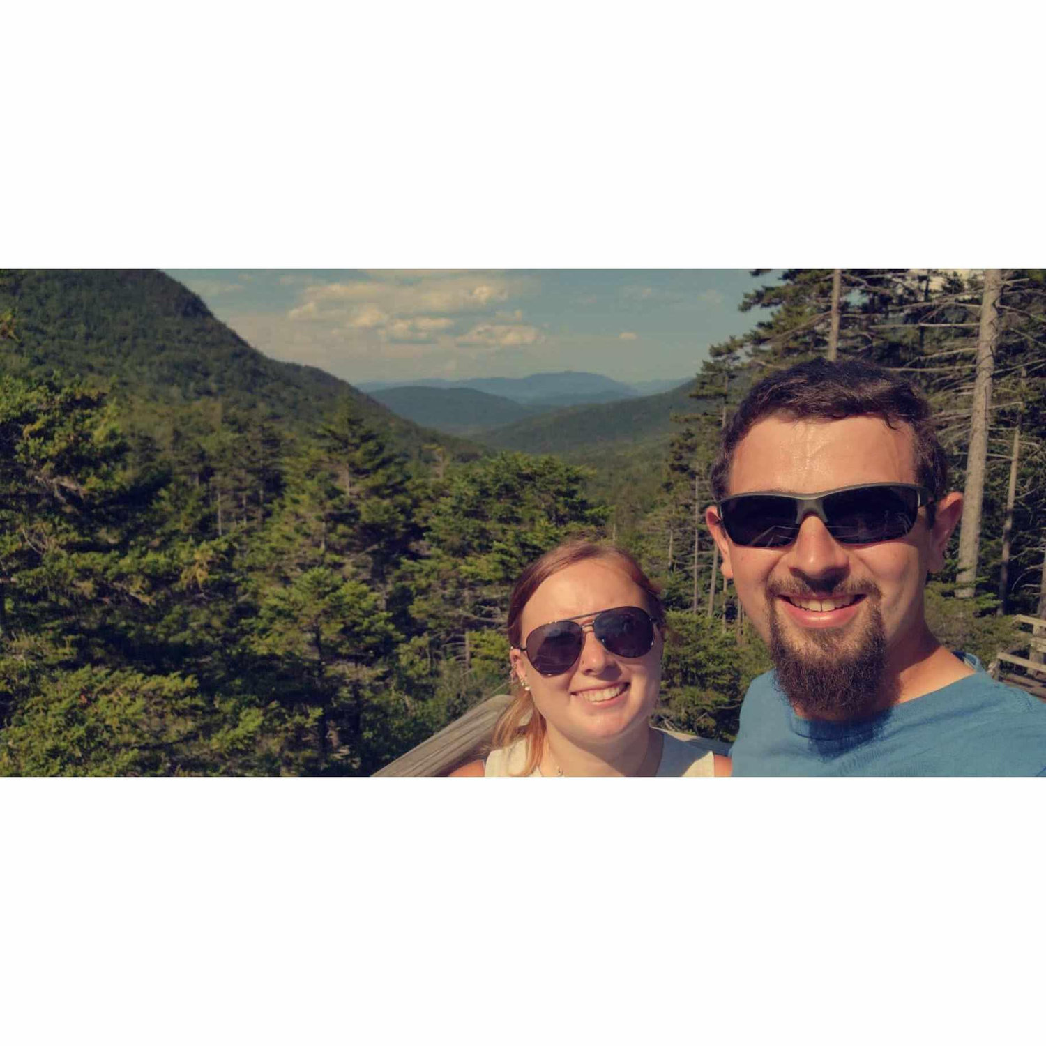Mini vaca in NH