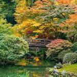 Portland Japanese Garden