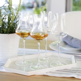 Willsberger Digestive Wine Glass, Set of 4