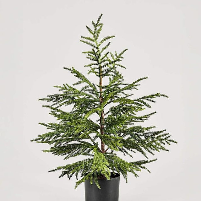 Afloral Artificial Norfolk Pine Tree - 36"