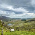Conor Pass