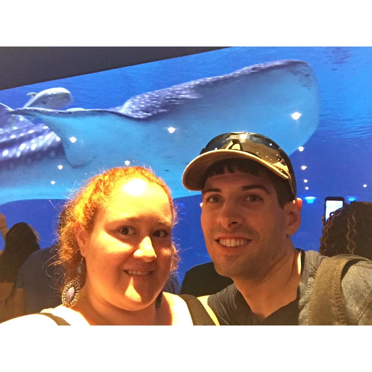 A magic moment! It's tricky to get the whale shark in the shot! - Un momento mágico con un tiburón ballena!