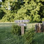 Grassy Creek Trail Head