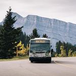 Local Transportation: Roam Bus