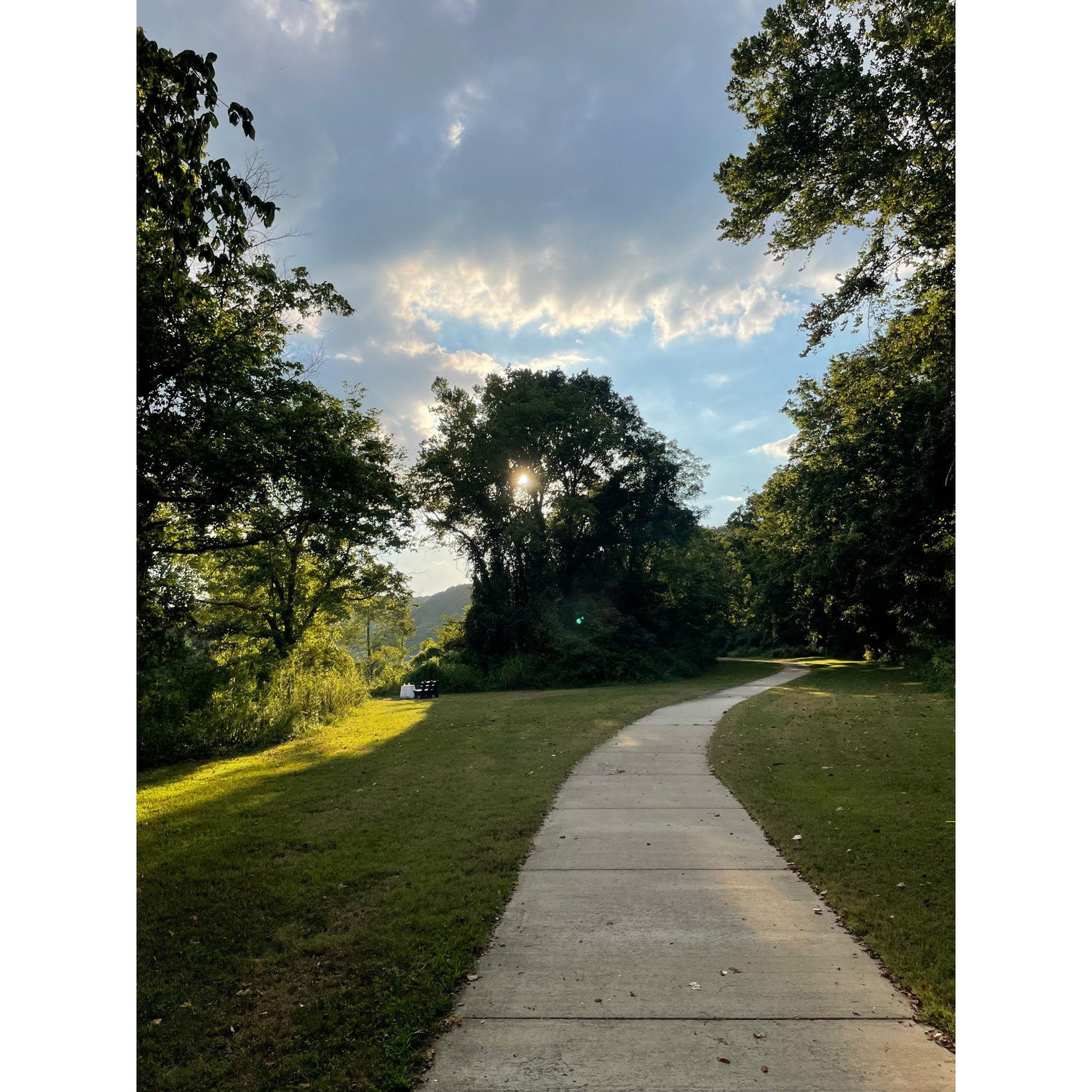 Owen proposed at Sunset Park, on my favorite trail. I was wonderfully surprised!