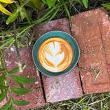 Ship To Shore Books, Records & Coffee