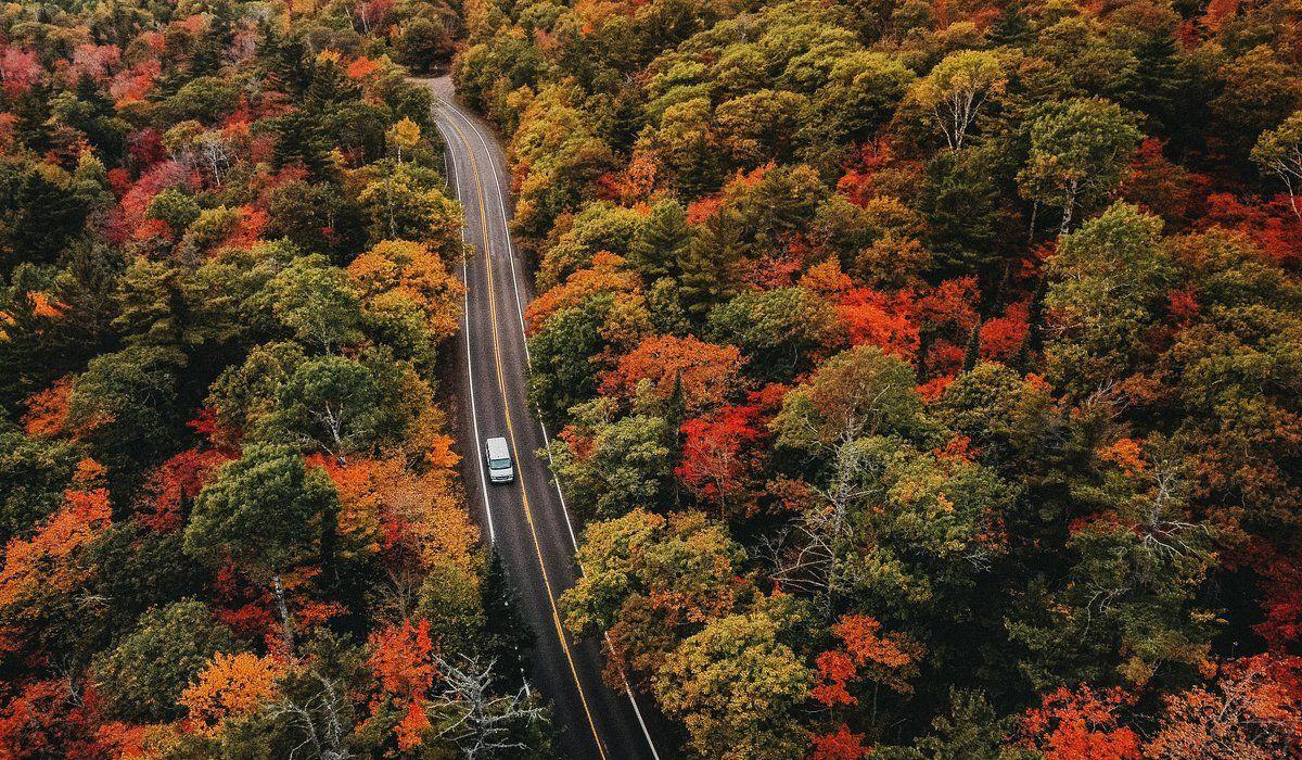 The Wedding Website of Nicole Kaveny and Kyle Crewdson