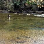 Tuckaseegee Fly Shop and Fishing Excursions